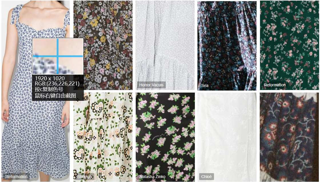 Ditsy Floral Cotton