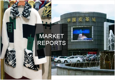Redefine Fashion -- The Analysis of Women's Fur in Haining Market