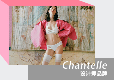 Pioneer Design -- The Analysis of Chantelle The Women's Underwear Designer Brand
