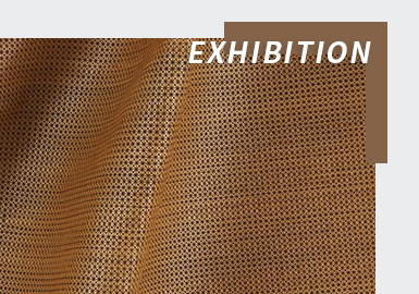 Exquisite Sensory -- The Fabric Analysis of Paris Première Vision Online Exhibition