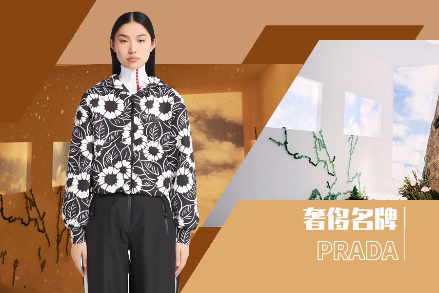 Charming Allure -- The Analysis of PRADA The Benchmark Womenswear Brand