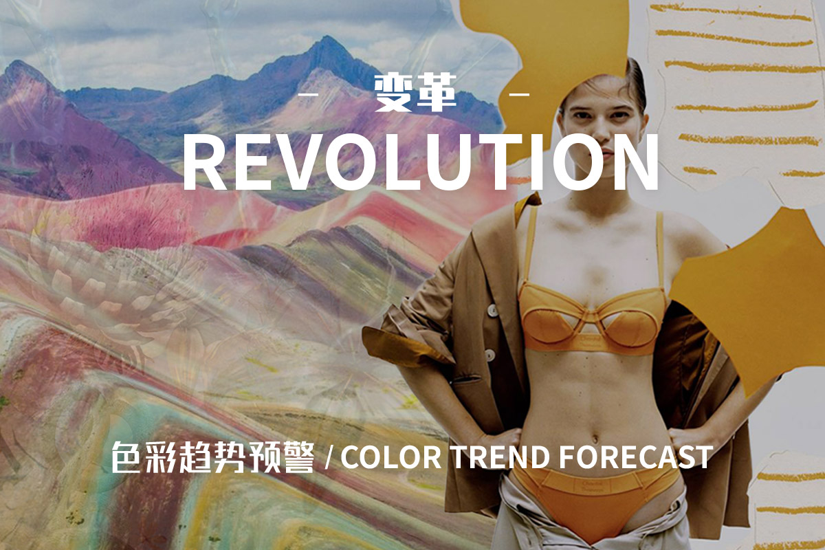 Revolution – The Color Trend Forecast for Women's Intimates