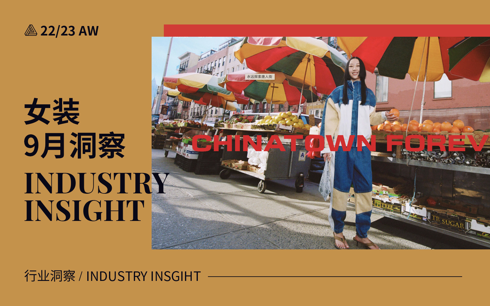 September 2022 -- The Industry Insight of Womenswear