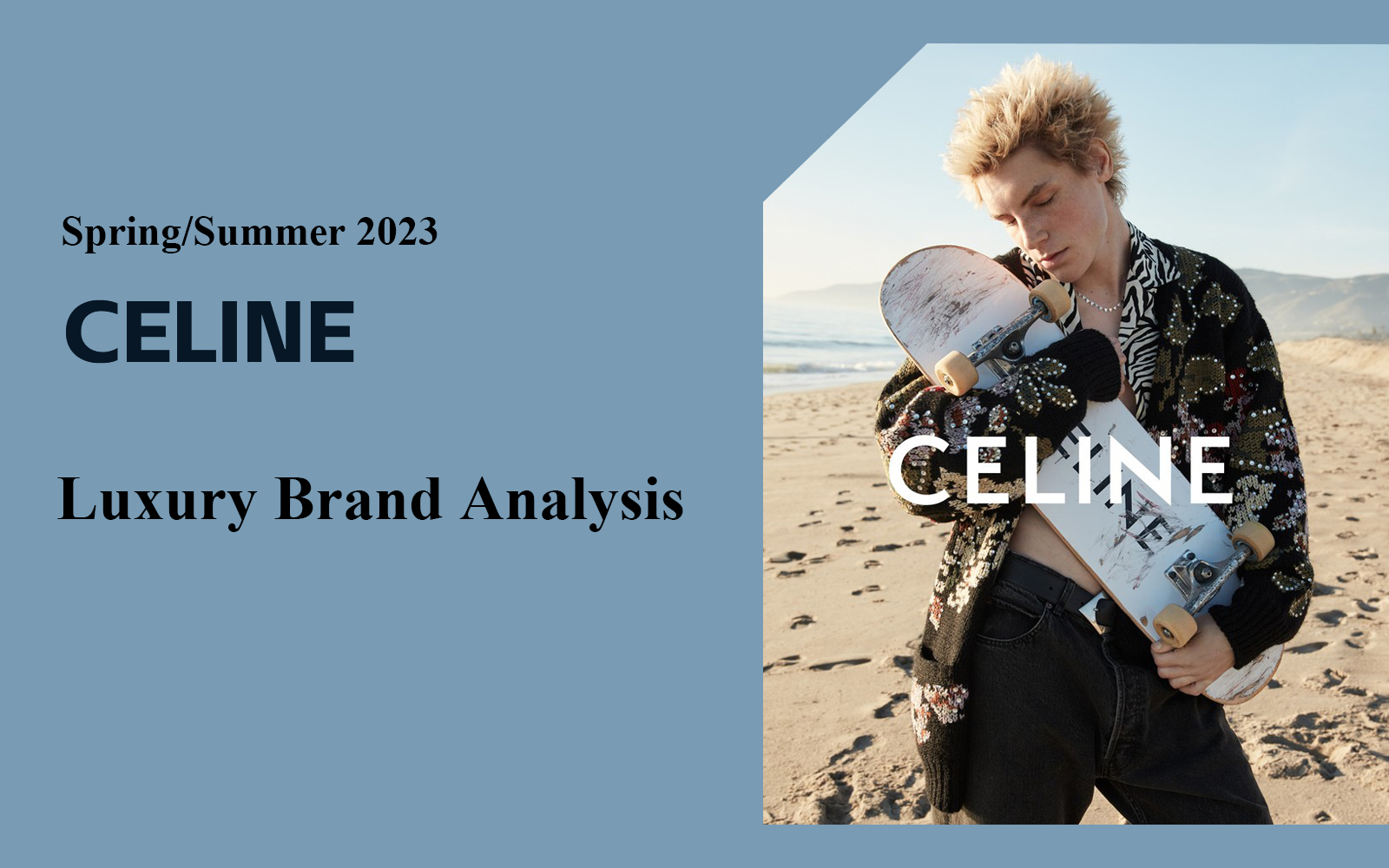 DYSFUNCTIONAL BAUHAUS -- The Analysis of Celine The Luxury Menswear Brand