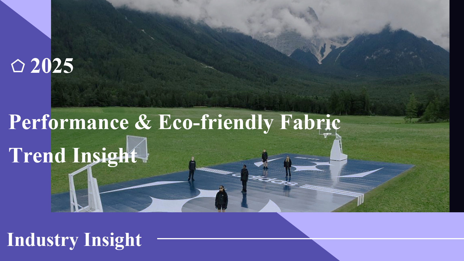 2025 Performance & Eco-Friendly Fabric Industry Insight
