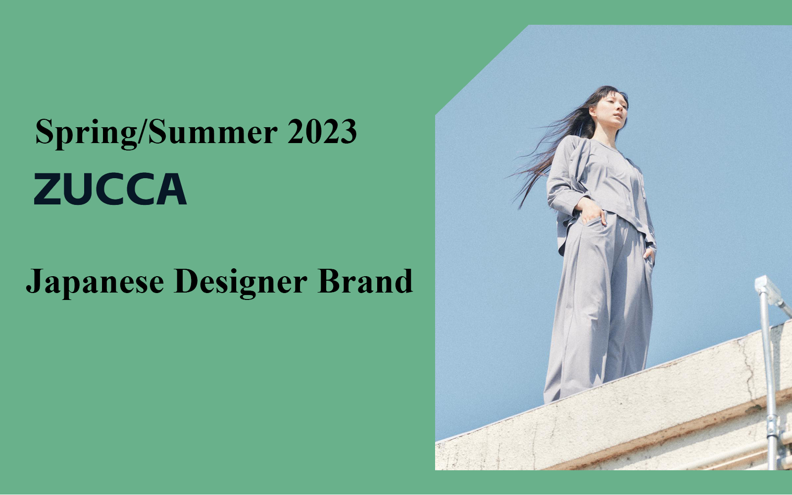 The Analysis of ZUCCa The Japanese Designer Brand