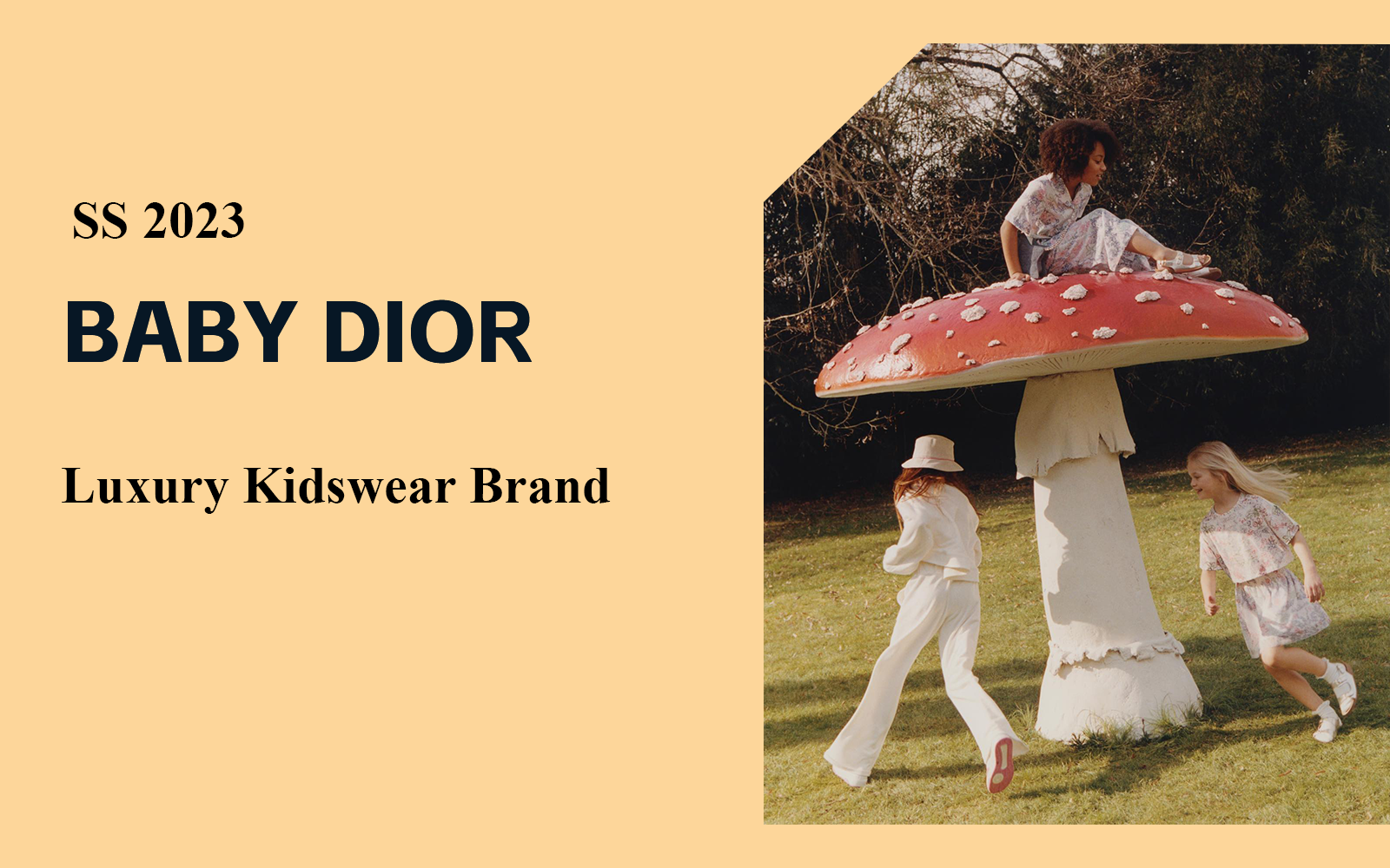 Exploring Nature -- The Analysis of Baby Dior The Luxury Kidswear Brand