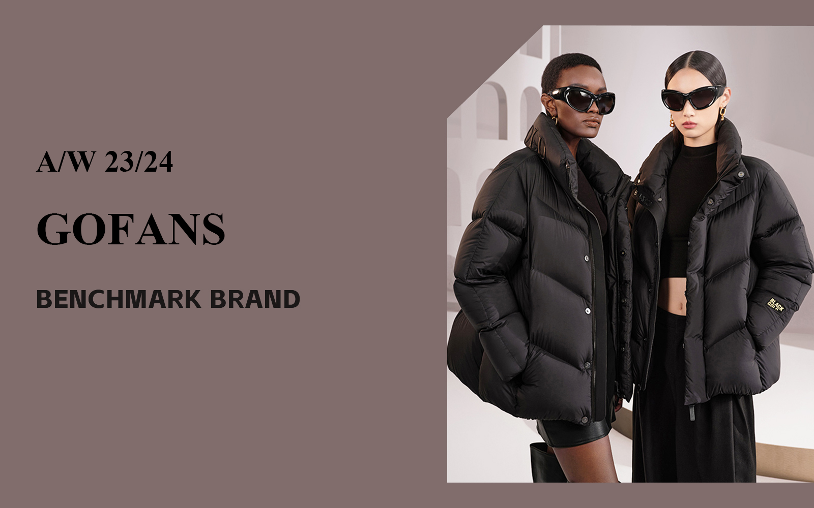 The Analysis of GOFANS The Benchmark Women's Down Jacket Brand