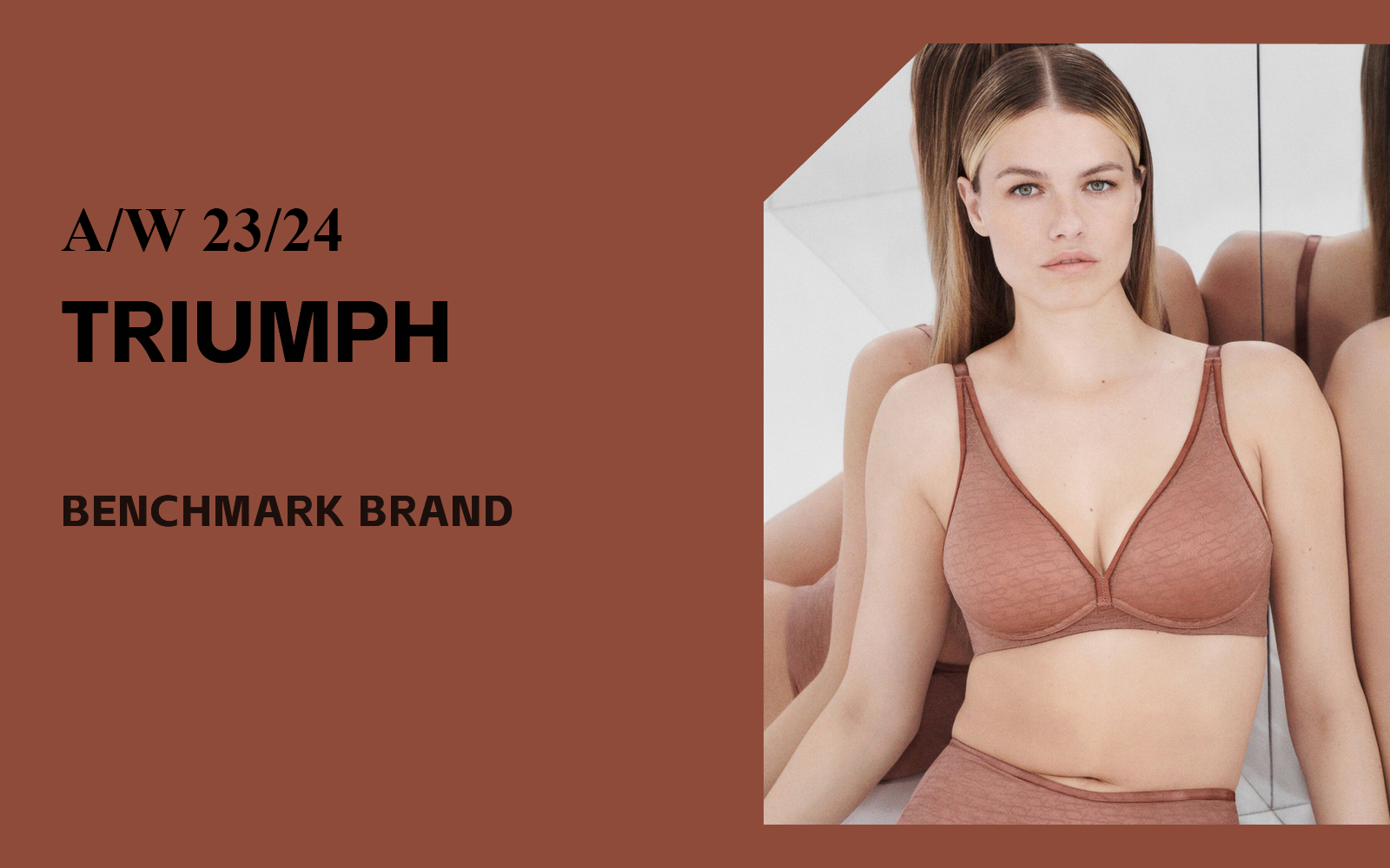 Lingerie Craftsman -- The Analysis of Triumph The Benchmark Underwear Brand