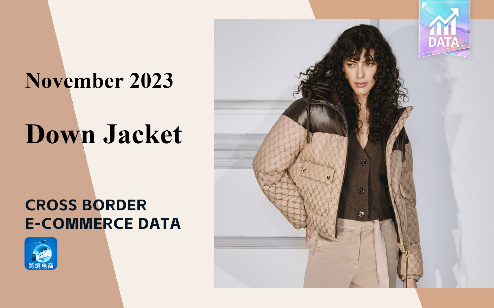 The Cross-Border E-Commerce Data Analysis of Women's Down Jacket in November