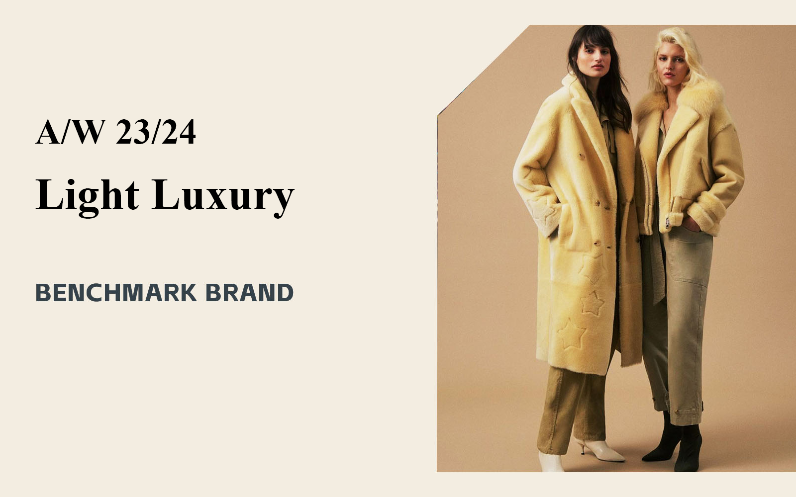 Light Luxury -- The Comprehensive Analysis of Benchmark Fur Clothing Brand