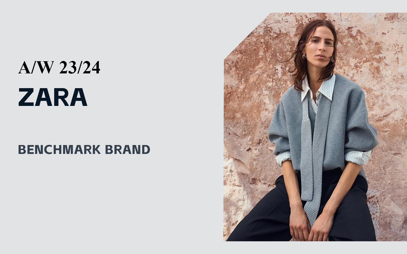 Elegant and Luxury -- The Analysis of Zara The Benchmark Womenswear Brand