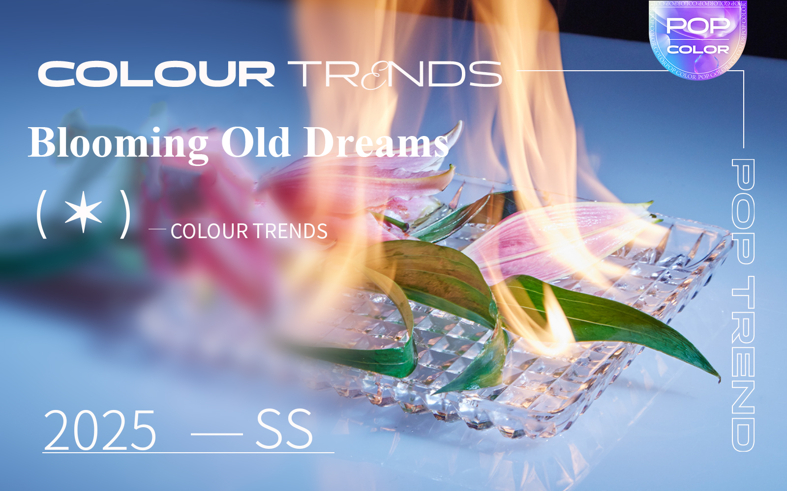 Blooming Old Dreams -- The Color Trend for Women's Gown Dress