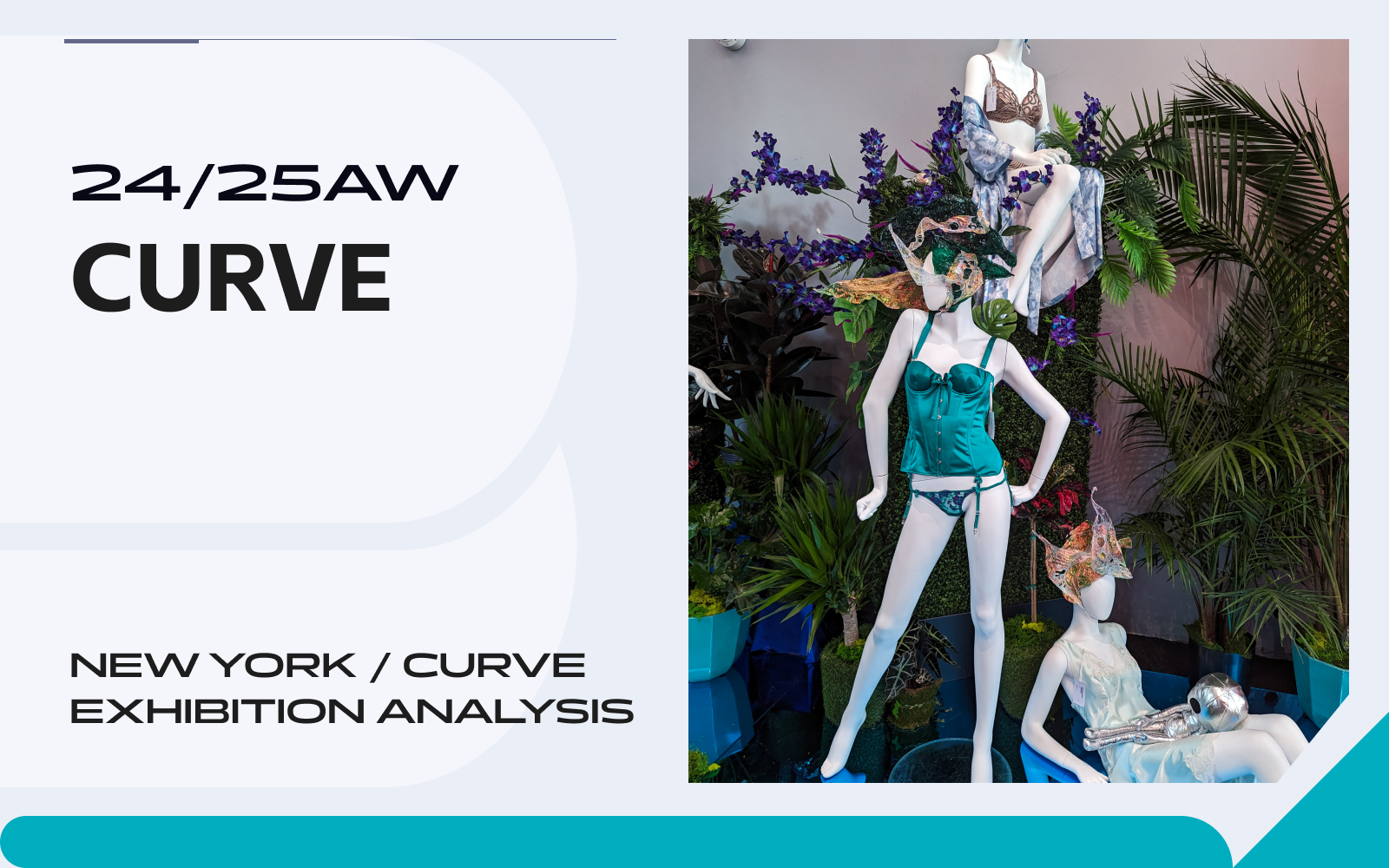 Curve -- The Analysis of New York Underwear Exhibition